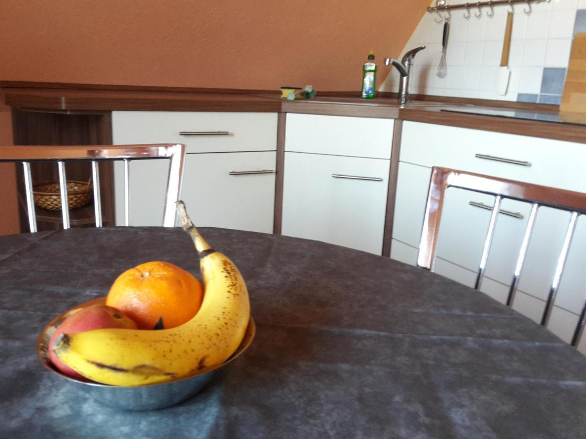 Ferienwohnung Dresden West Bagian luar foto